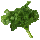 Pondweed