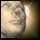 Curse of the Simple Mind