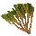 Celandine Herb