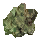 Saprophytic Moss