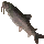 Gunthak Gourami Icon