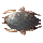 Cockroach Icon