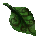 Band of Rotting Leaves