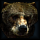 Howl of Korach