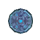 Turquoise Buckler
