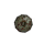 Torklar`s Battered Shield