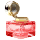 Class XIX Augmentation Distiller