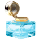 Perfected Augmentation Distiller