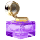 Ink of the Dal