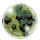 Disease Procs