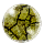 Cloudy Energeian Decay Orb