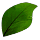 Fellowship Lumber Bundle: Light Green Elm