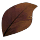 Skullcap