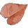 Pinkroot