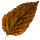 Fellowship Lumber Bundle: Red Alder