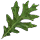 Fellowship Lumber Bundle: Light Green Oak