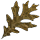 Lucidem