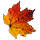 Fellowship Lumber Bundle: Red Maple