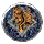 Prismatic Shield Ornamentation