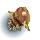 Conch of the Tides