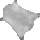 White Dragon Hide