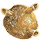 Diseased Kidney Stone
