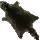 Armadillo Husk