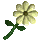 Nodding Blue Lily