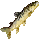 Highland Pike Icon