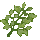 White Primrose Icon