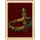 Dirulia Insignia