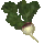 Figwort